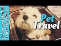 Traveling to Europe with a Pet - Travel Tip - 2016