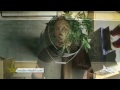 Medical Marijuana: Grow Lights