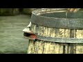 Diageo Cooperage