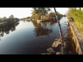 Jack Crevalle Fishing in Canal!