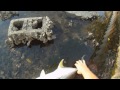 Jack Crevalle Fishing in Canal!
