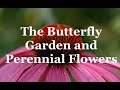 The Butterfly Garden and Perennial Flowers