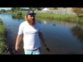 Mangrove Planting