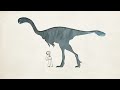 How did feathers evolve? - Carl Zimmer