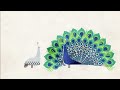 How did feathers evolve? - Carl Zimmer