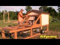 Chicken Tractor - Protecting My Girls