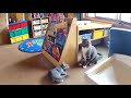 Cat Meets Kitten for the First Time