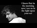 One direction - Story of my life (testo)