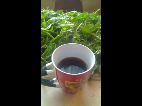 Как сделать напиток из корня Как сделать напиток из корня