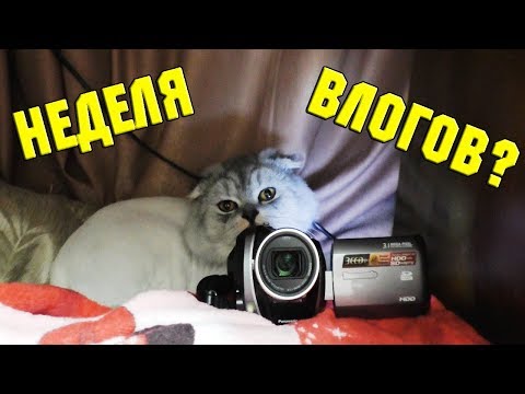Собака на сене (1977) смотреть онлайн или скачать Смотреть сериал Золотая Орда онлайн. Все серии