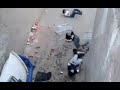 Fail Blog