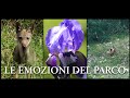 Le Emozioni del Parco, clicca per Dettaglio