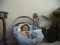 Funny Baby Video In CarSeat