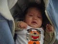 Funny Baby Video In CarSeat