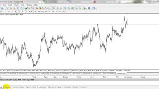 Money Management Trading Forex Anti MC (Margin Call)