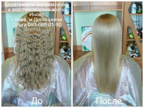 Раскраски Инструменты и посуда раскраска Профессиональная стрижка собак Уход за