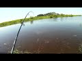 Common Carp Float Fishing BC Canada.mp4