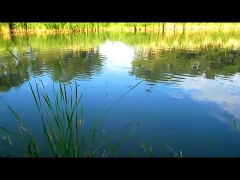 рыбалка в январе на амуре рыбалка в январе на амуре