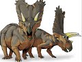 Evolúció vagy teremtés ?