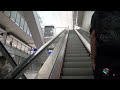 Cathay Pacific, Premium Economy, Brisbane to Hong Kong