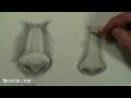 Draw Female nose Step by Step