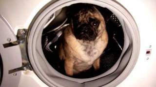 Duc - Waschmaschine! T-№1