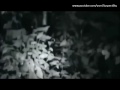 Alien Contact Above and Below
