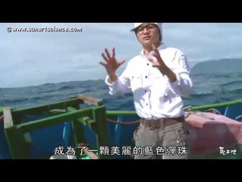 12-1 從從 唐從聖 海洋能Ocean Energy pic