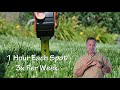 Fall Lawn Care Program Step #1