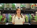 20 Gallon ReptiHabitat™ Bearded Dragon Kit - Instructional Video