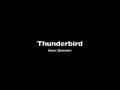 Thunderbird by Hans Zimmer live preformance