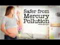 Victory on Mercury Pollution:  Dream Big!