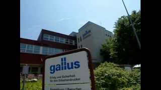 Gallus Ferd Ruesch Ag Youtube