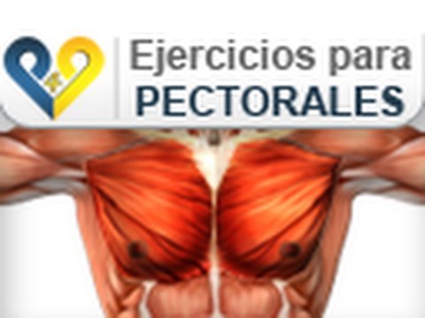 Si es posible aumentar el pecho en la casa las condiciones