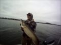 Fall Musky Fishing