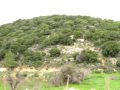 עין אל בלד - בראש נחל יגור