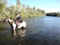 horse water jump