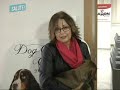 Sterilizzazione cane o gatto Sterilizzazione cane o gatto