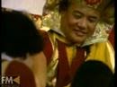 The Lion's Roar - 16th Karmapa (trailer)