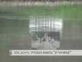 VICTORZ: Rhein-Trial 01-Prelude ויקטור: דפים ממסה על הריין ושיפוליו