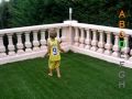 miniature