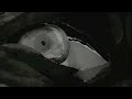 Xiu - Over