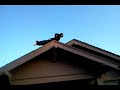 SUPER HERO ROOF PLANKIN...starring J DA JUG