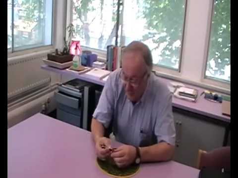Urban Metabolism Video