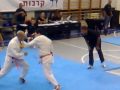 אליפות לחימה משולבת 2010