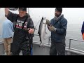 Silver Salmon (Coho) and Halibut Fishing in Seward Alaska - Saltwater Safari Company Charter