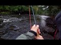 Part 1. Moments from the Mörrumriver 2012 - fly fishing for big salmon and sea trout. Part 1.