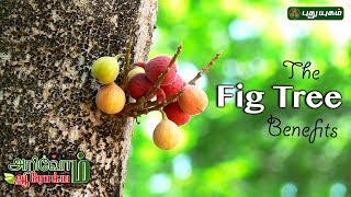 Arivom Arogyam Puthuyugam TV Show Arivom Arogyam Puthuyugam TV Show