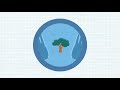 Development Progress - exploring what works and why