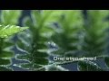 Video: ODLO Greentec-Kollektion 2012